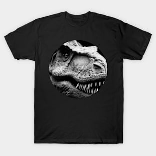 Tyrannosaurus Rex - carnivorous dinosaur T-Shirt